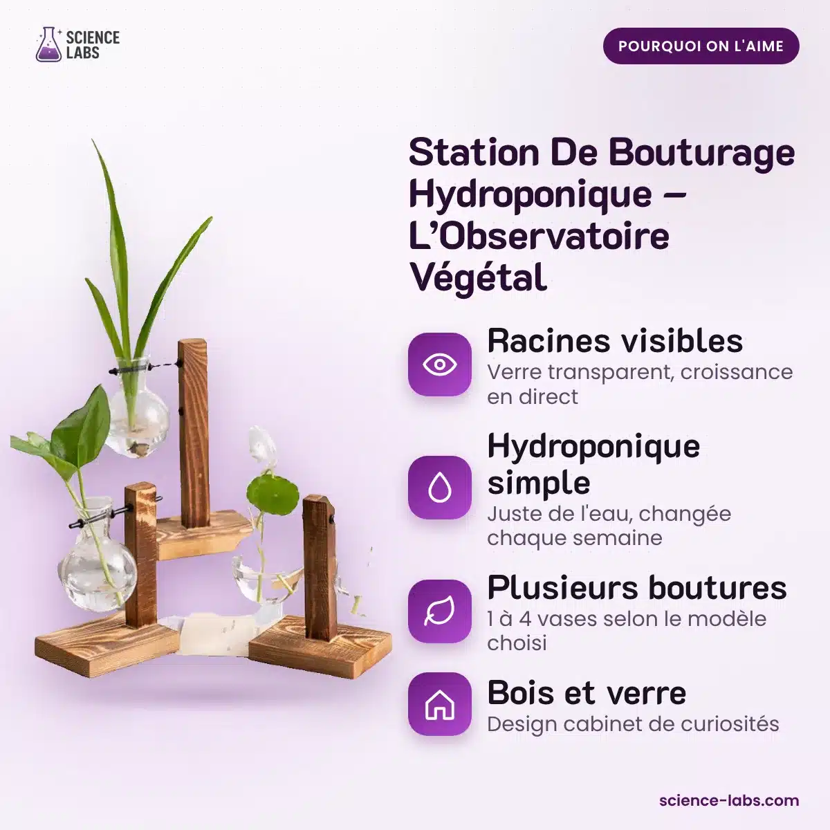 Stekstation Hydrocultuur Afbeelding 3