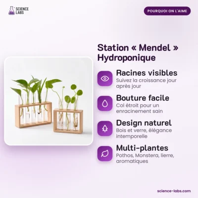 Stekjesstation Mendel Reageerbuizen Afbeelding 3