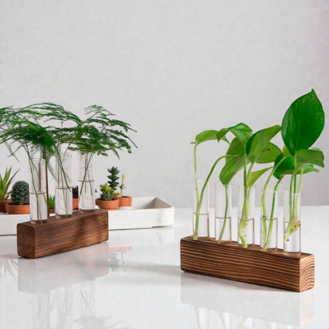 Reageerbuis Vaas Hout en Glas Afbeelding 2
