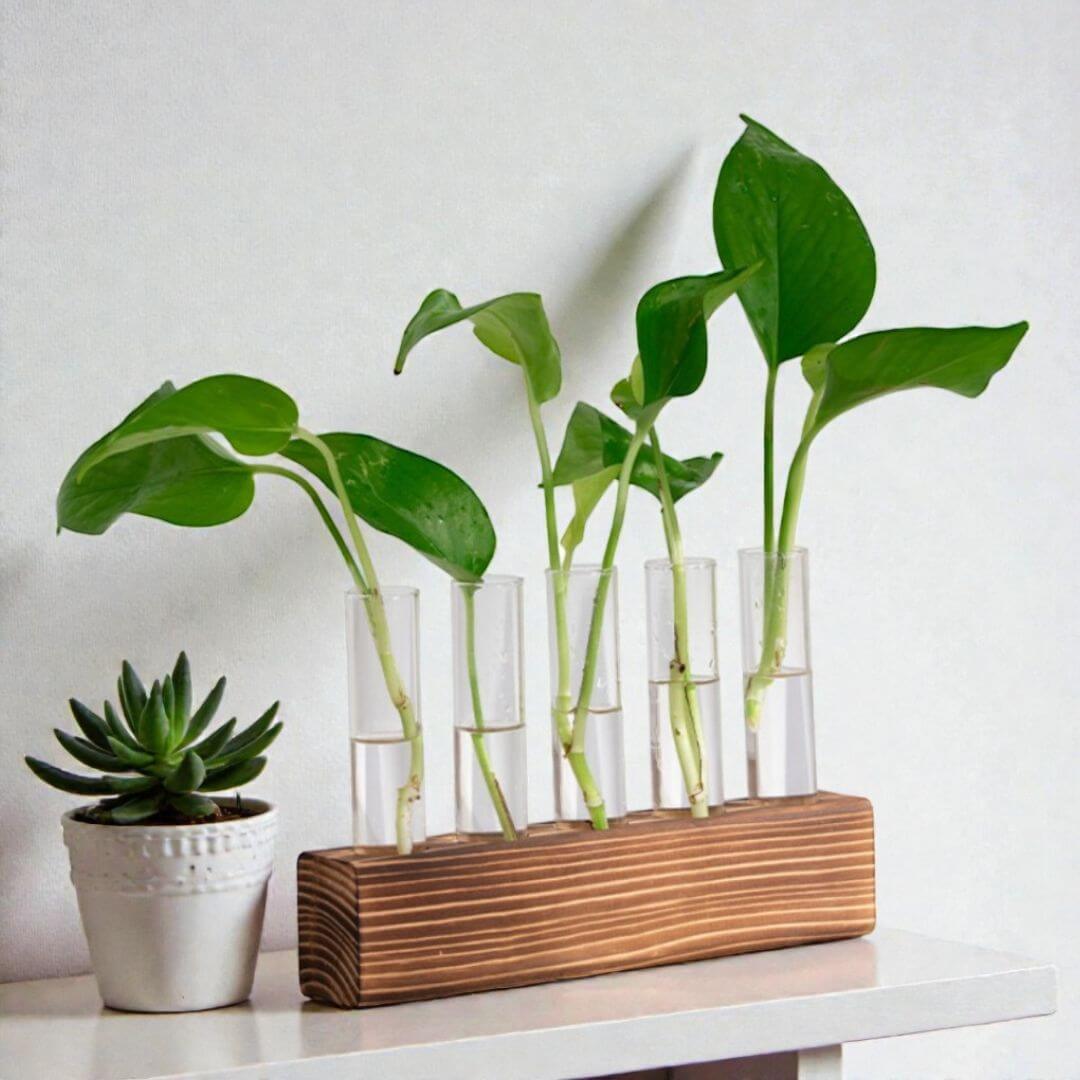 Reageerbuis Vaas Hout en Glas Afbeelding 6