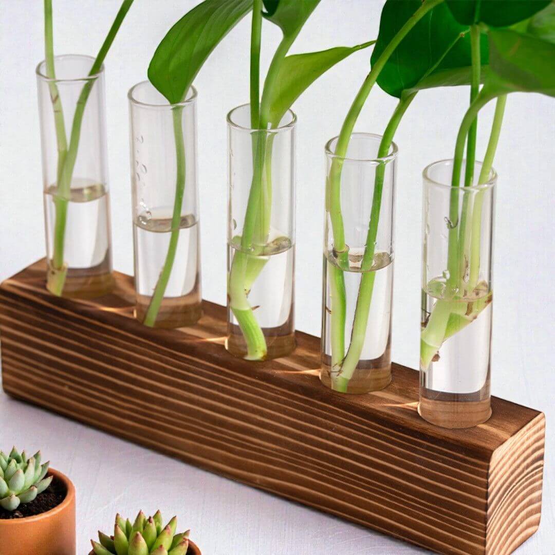 Reageerbuis Vaas Hout en Glas Afbeelding 5